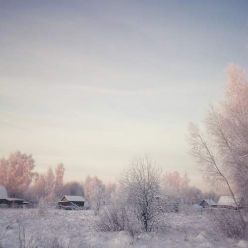 Photo #6968826