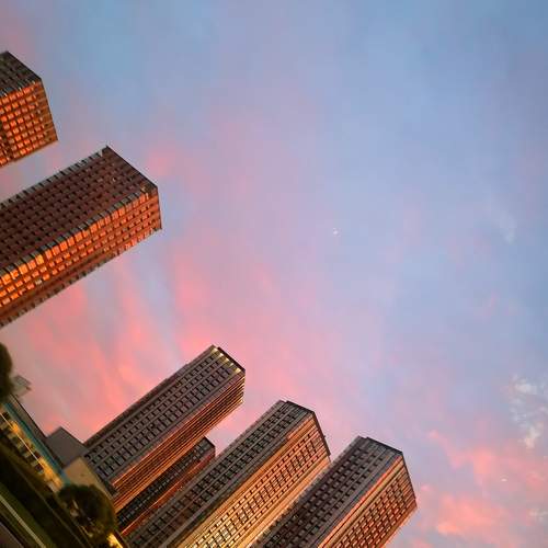 Photo #6968884