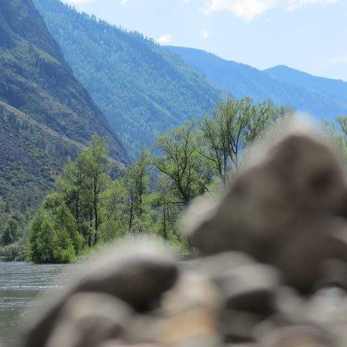 Photo #6968967