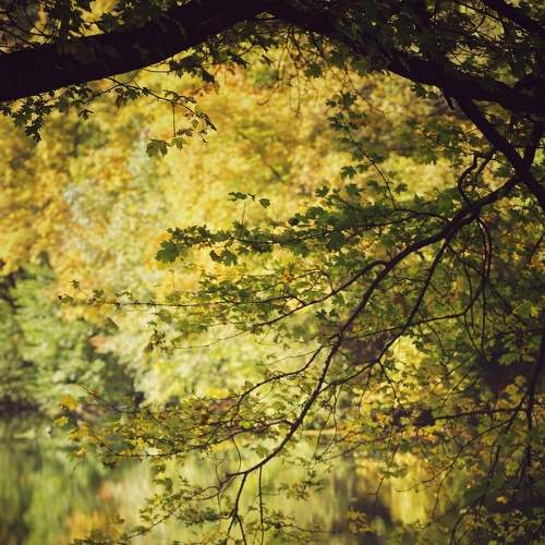 Photo #6969106