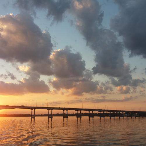 Photo #6969217