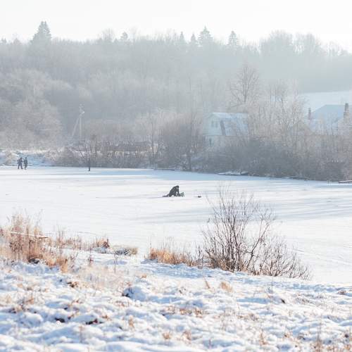 Photo #6969242