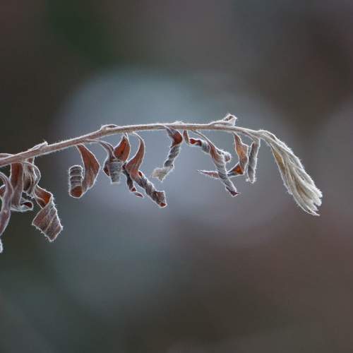 Photo #6969290