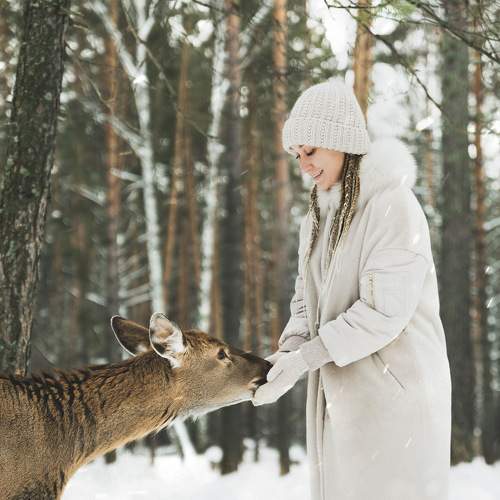 Photo #6969367