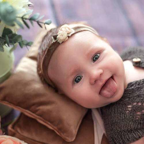 Photo #6969432