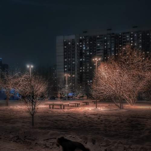 Photo #6969700