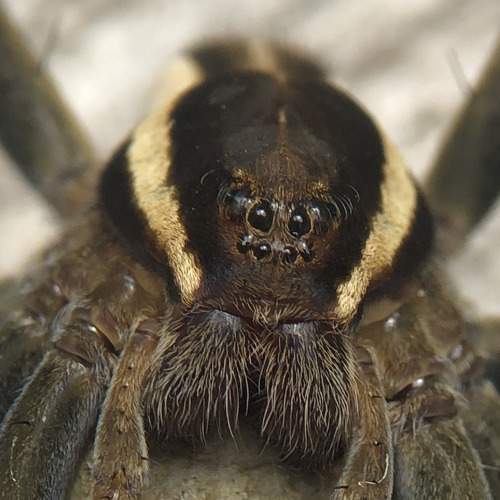 Photo #6969843