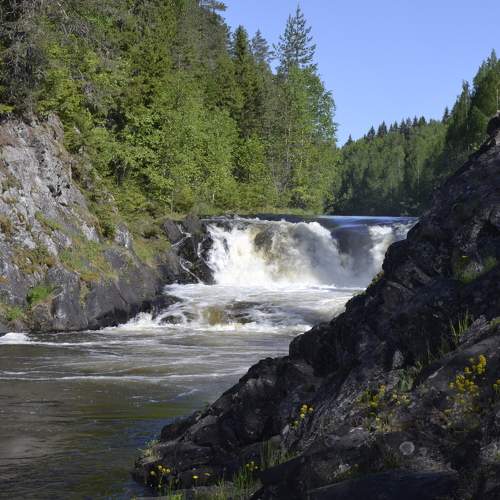 Photo #6969986