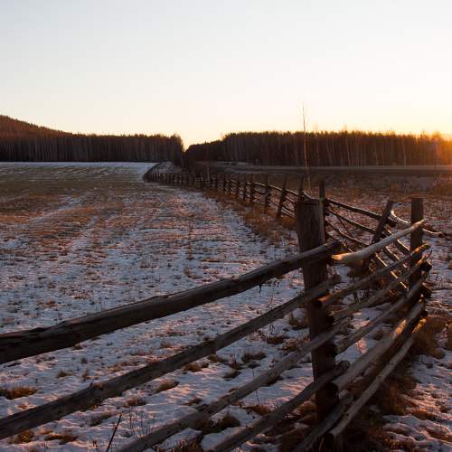 Photo #6970002