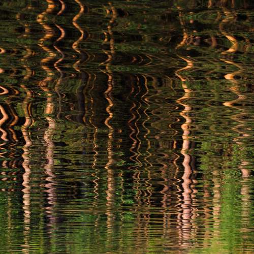 Photo #6970026