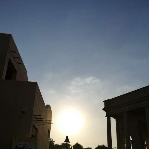 Photo #6970286