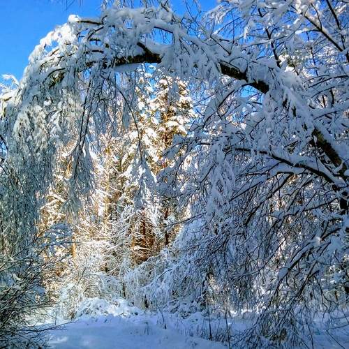 Photo #6970384