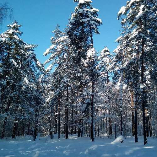 Photo #6970483