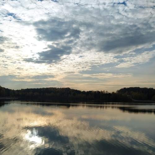 Photo #6970516