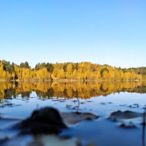 Photo #6970528