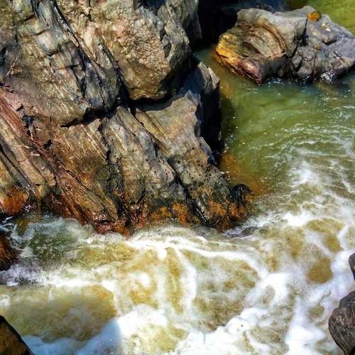 Photo #6970632