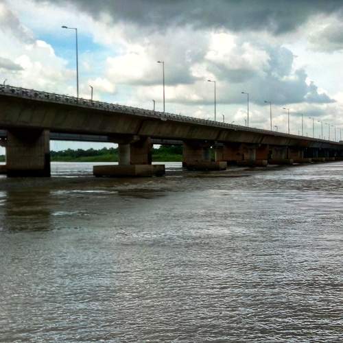 Photo #6970661