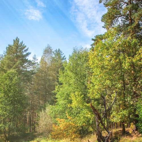 Photo #6970800