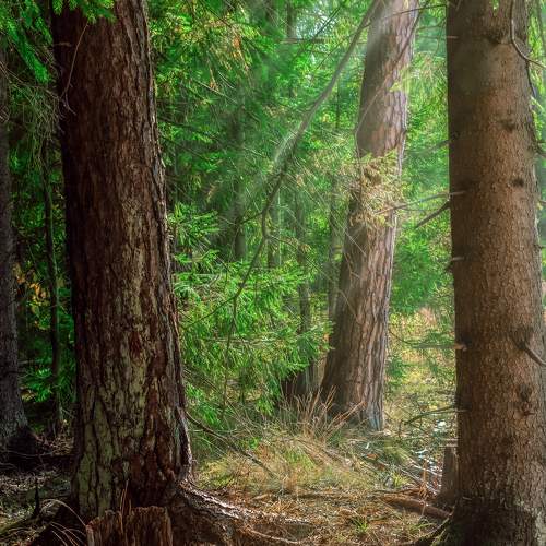 Photo #6970806