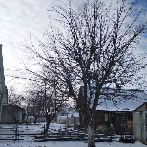 Photo #6970875