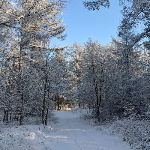 Photo #6971070