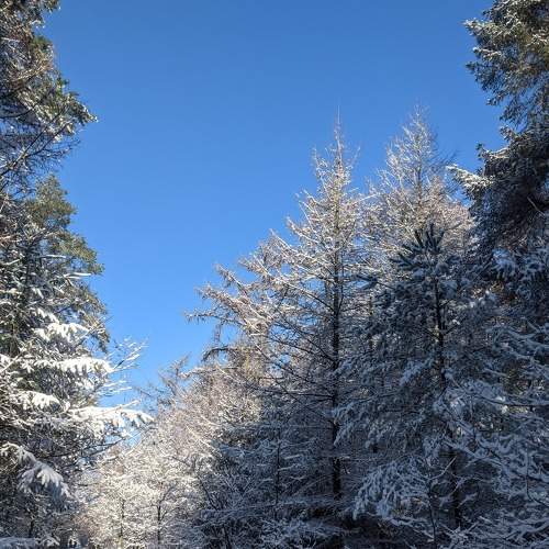 Photo #6971075
