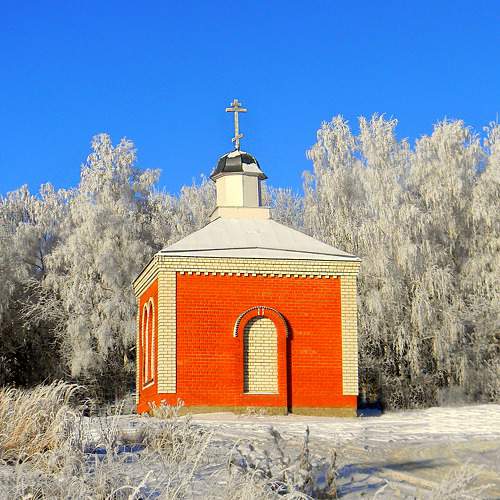 Photo #6971518