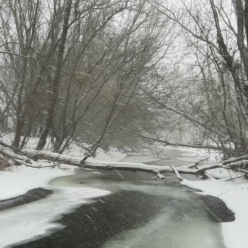 Photo #6971532