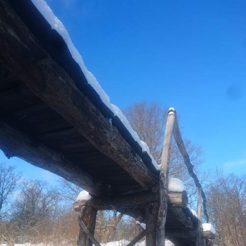 Photo #6971543