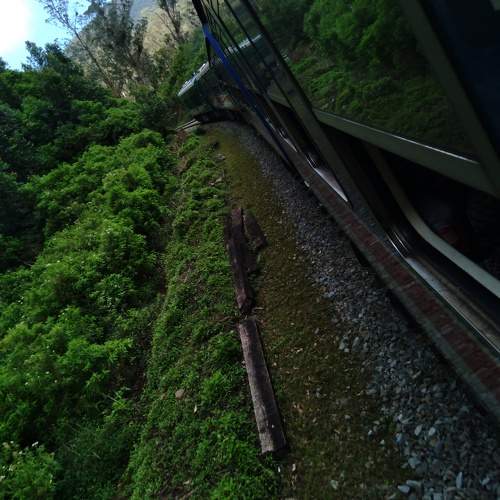Photo #6971592