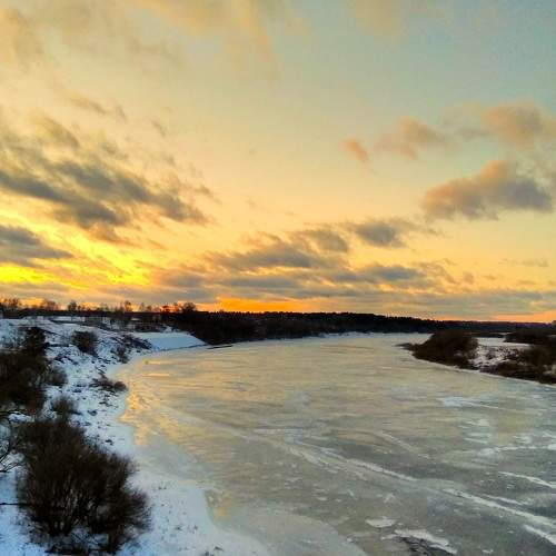 Photo #6971653