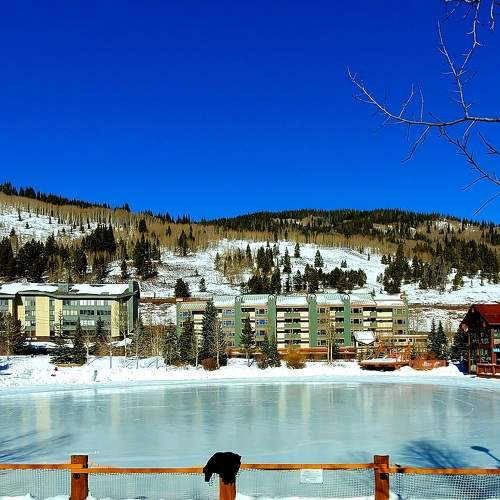Photo #6971745