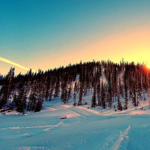 Photo #6971747