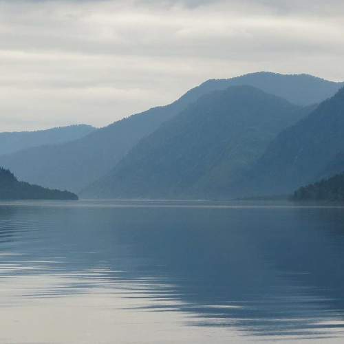 Photo #6971866