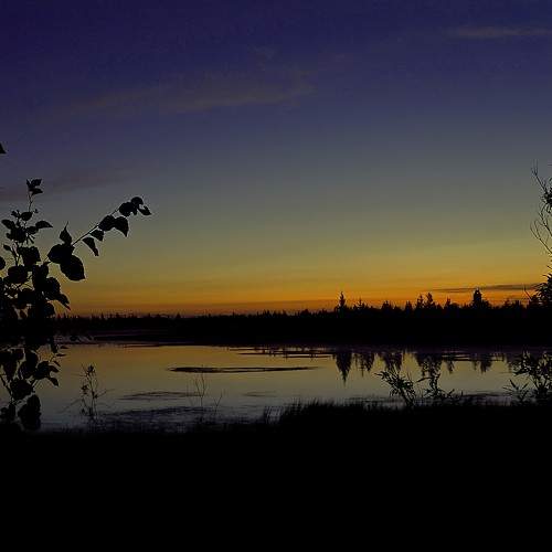 Photo #6971894
