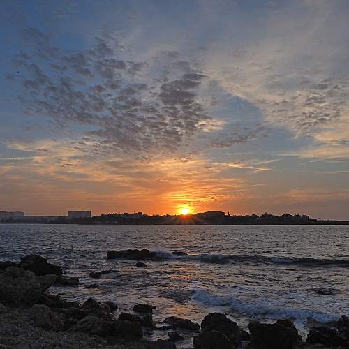 Photo #6972052