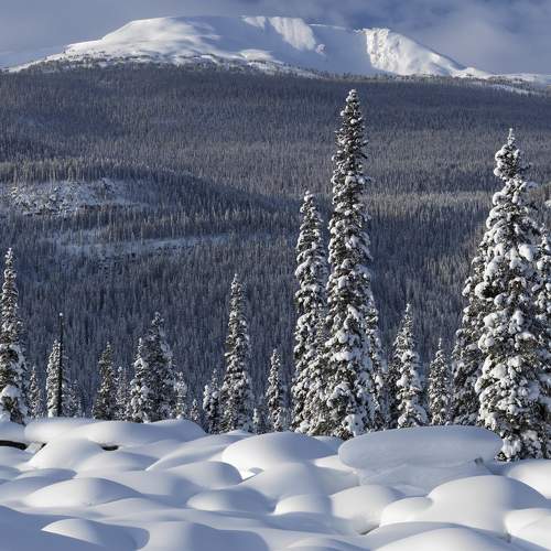 Photo #6972053