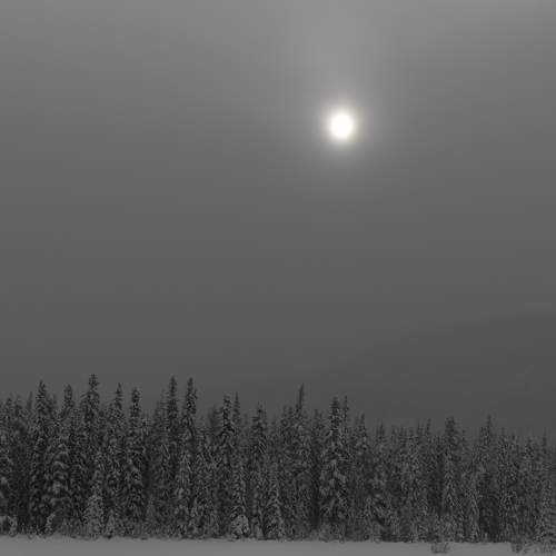 Photo #6972057
