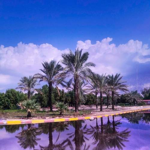Reflection