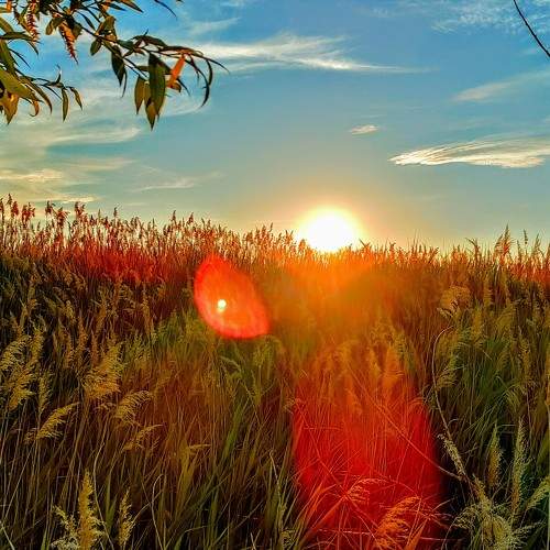 Photo #6972708