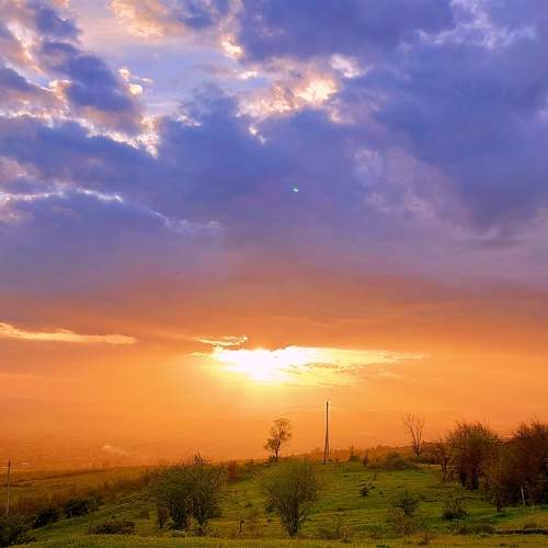 Photo #6973027