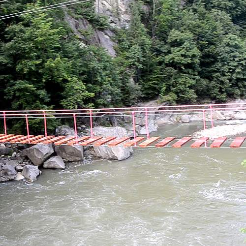 Photo #6973097