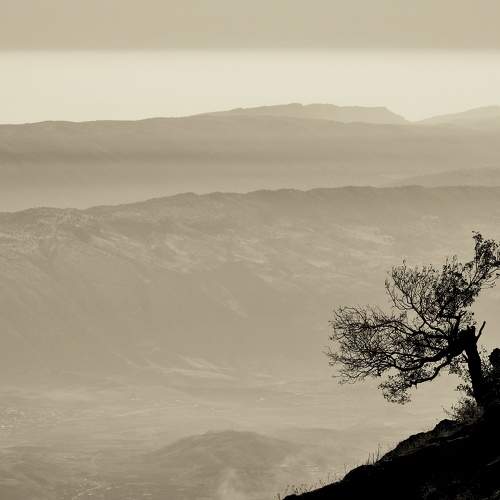 Photo #6973157