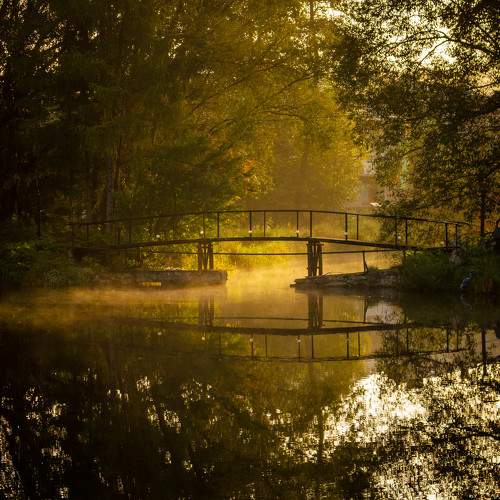 Photo #6973181