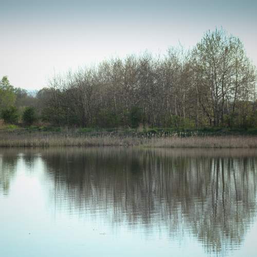 Photo #6973207