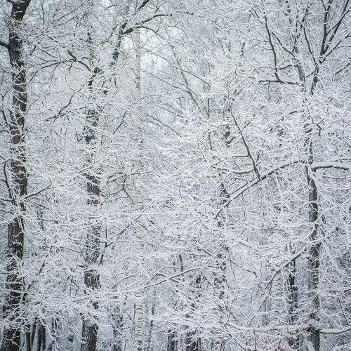 Photo #6973214