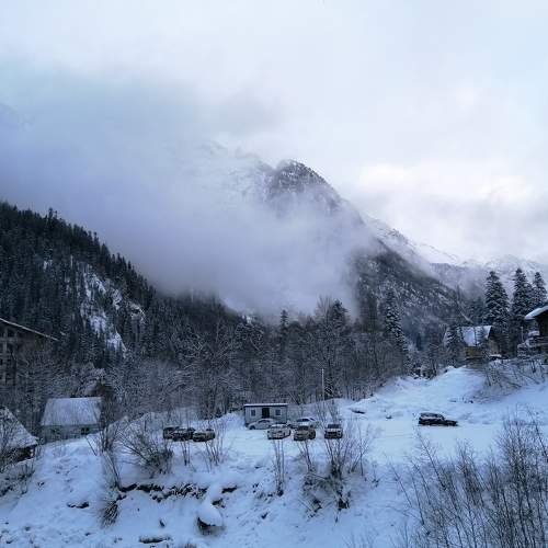 Photo #6973241