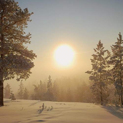 Photo #6973478