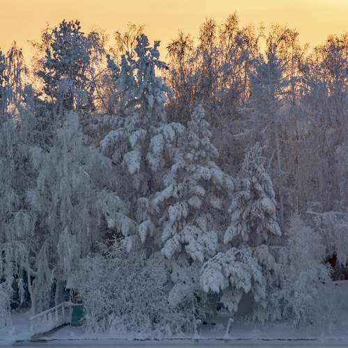 Photo #6973614