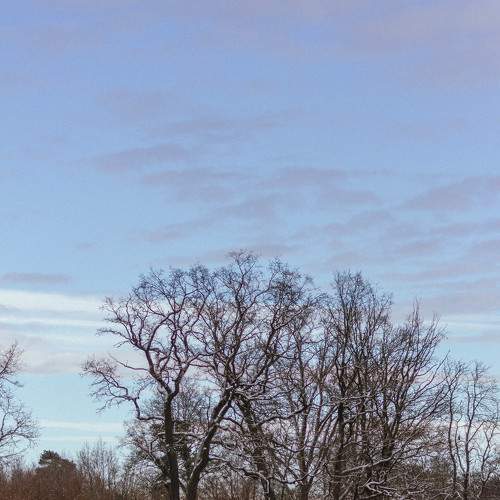 Photo #6973636